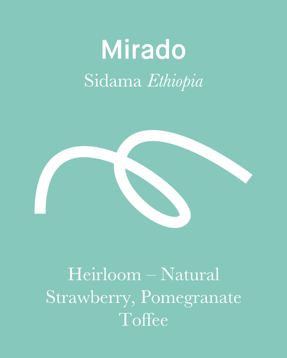 Mirado - Natural - Ethiopia (Espresso Roast)