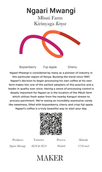 Ngaari Mwangi AA - Washed - Kenya (Filter Roast)