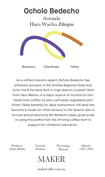 Ocholo Bedecho -Arsosala - Natural - Ethiopia (Filter Roast)