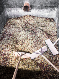 Karatina Kieni AA - Washed - Kenya (Filter Roast)