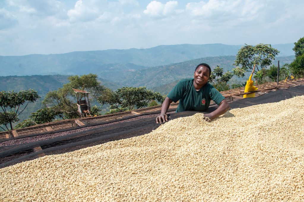 Dukunde Kawa Co-op - Washed - Rwanda (Espresso Roast)