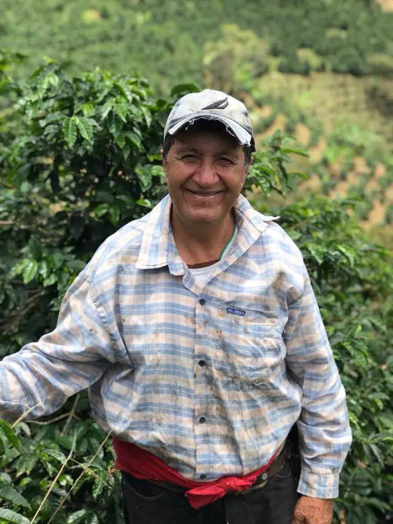 Seasonal Filter - Washed - (Filter Roast)