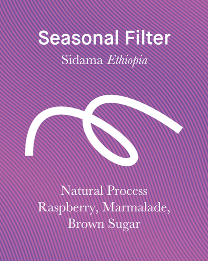 Seasonal Filter - Natural - (Filter Roast)