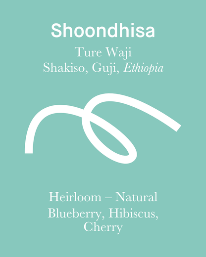 Shoondhisa - Natural - Ethiopia (Espresso Roast)