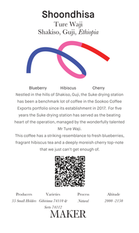 Shoondhisa - Natural - Ethiopia (Filter Roast)