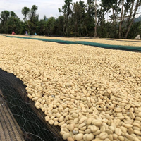 Telila - Washed - Ethiopia (Espresso Roast)