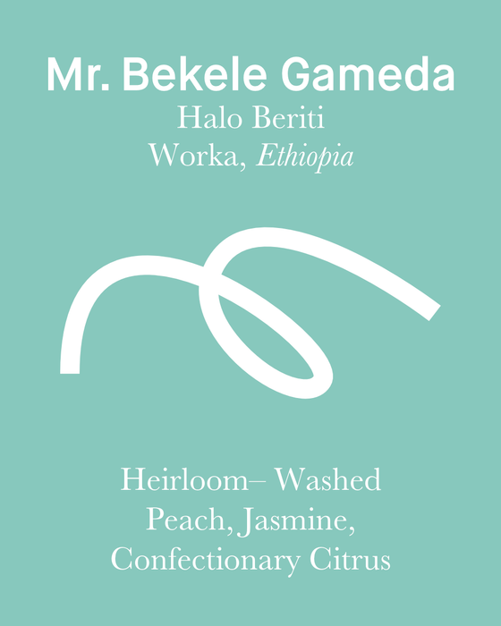 Mr. Bekele Gemeda -Halo Beriti - Washed - Ethiopia (Filter Roast)