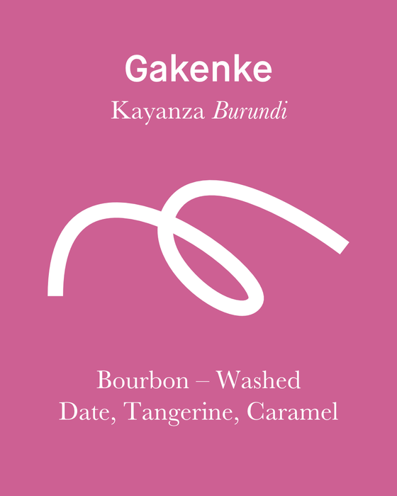 Gakenke - Washed - Burundi (Filter Roast)