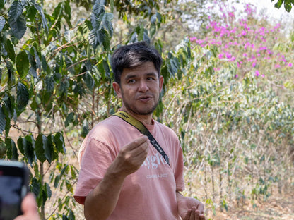 PRE SALE (Roast and Dispatch on 20th July) Select Series 2026 - Jose - Sidra - Washed -  100g - Tin