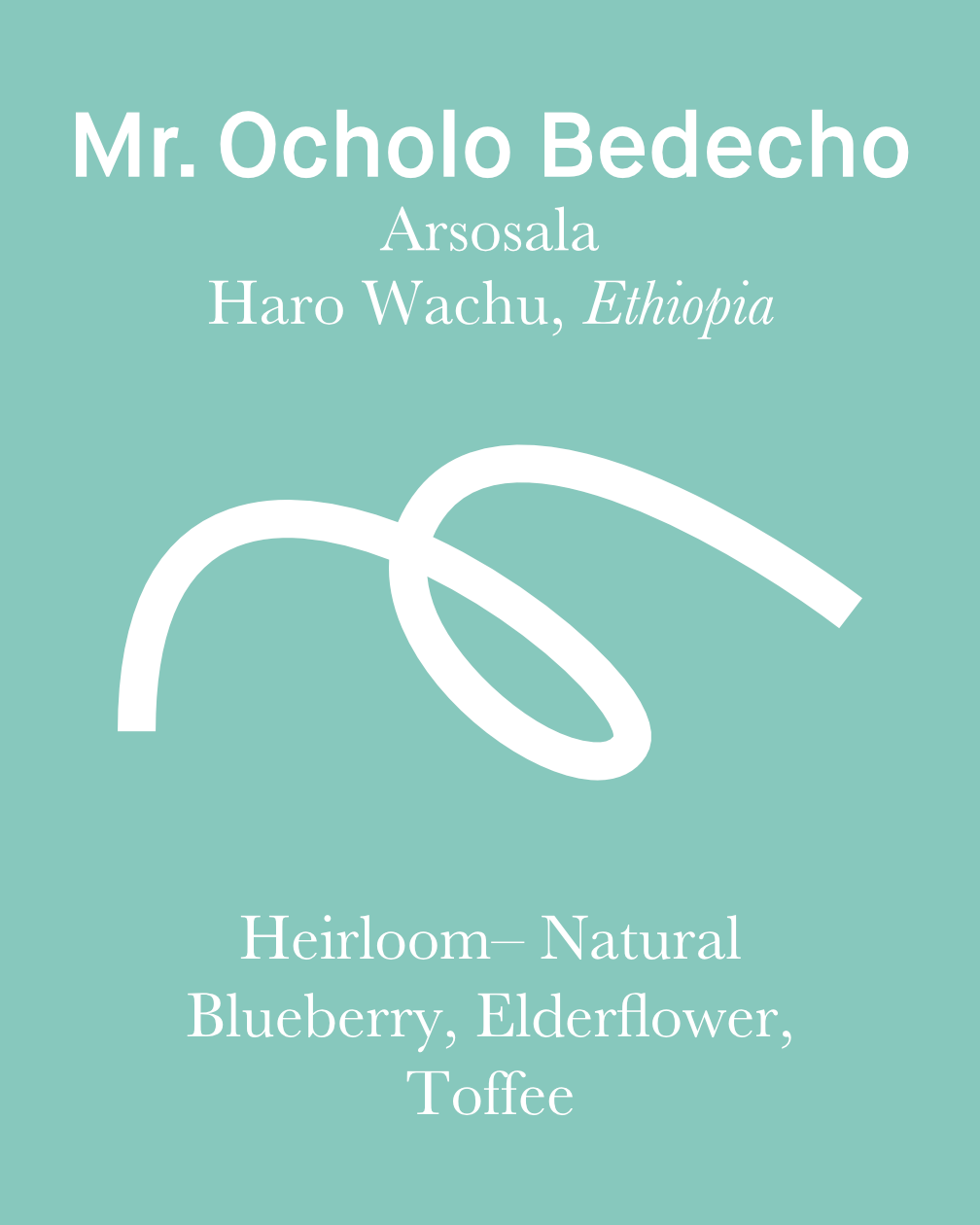 Ocholo Bedecho Arsosala Natural Ethiopia (Filter Roast) Maker Coffee
