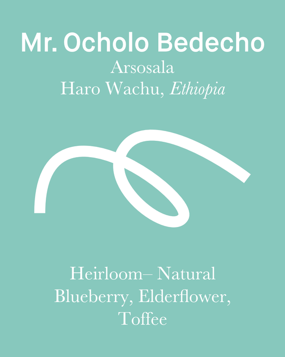 Ocholo Bedecho -Arsosala - Natural - Ethiopia (Filter Roast)