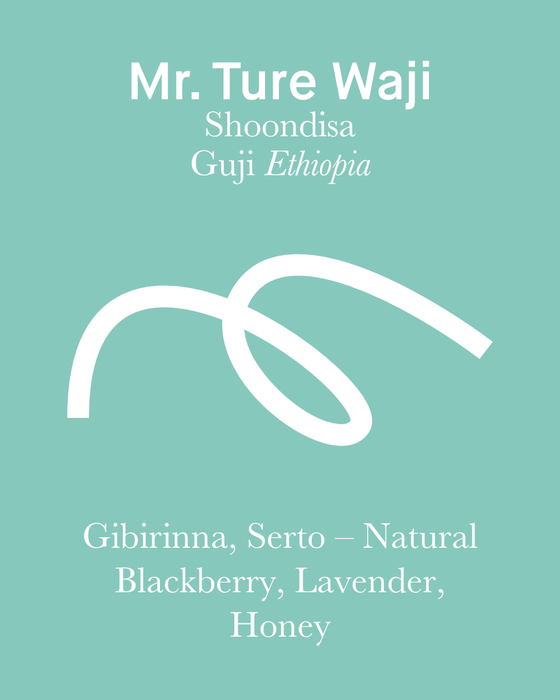 Ture Waji - Natural - Ethiopia (Espresso Roast)