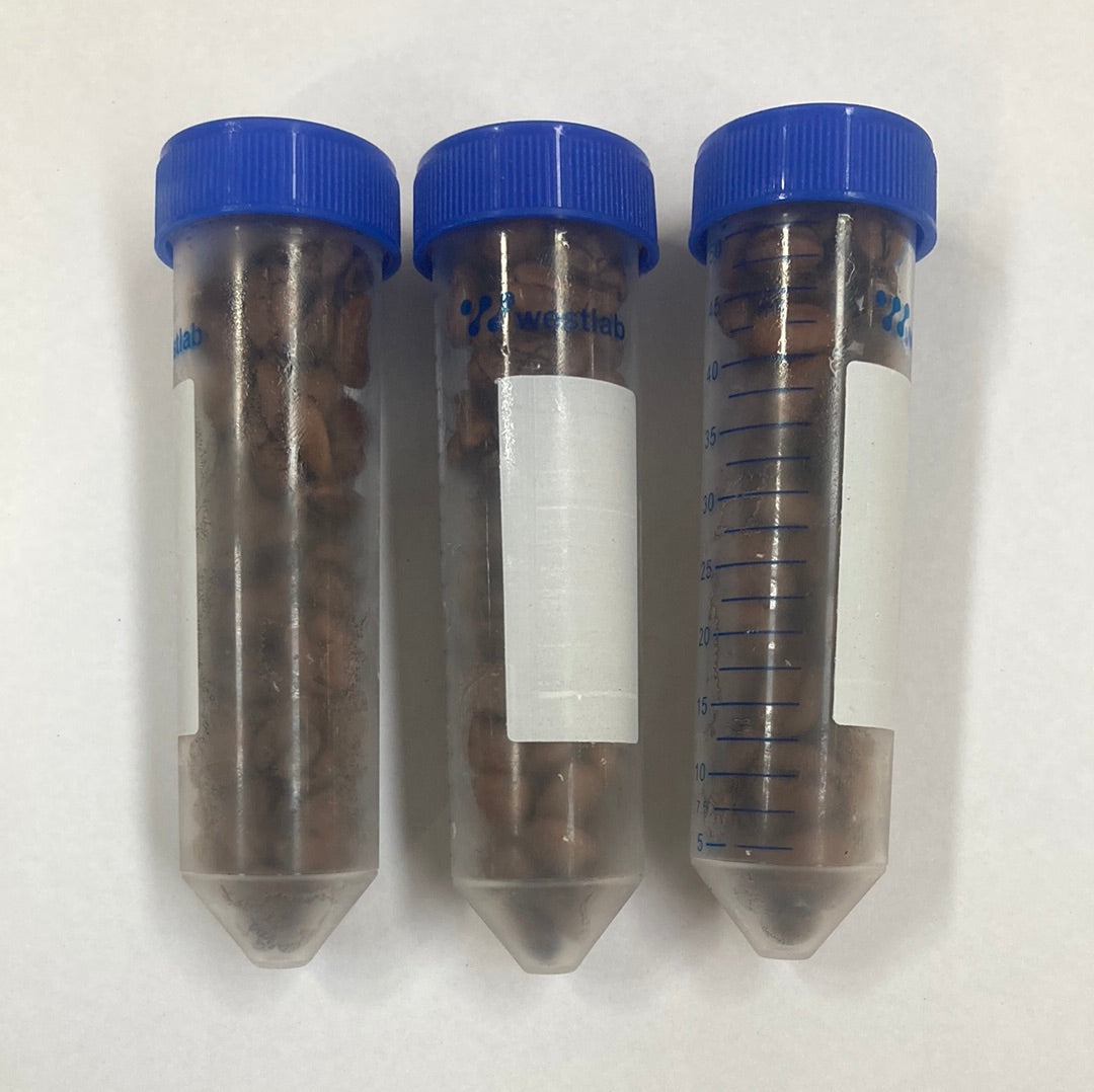 Frozen doses (single dose)